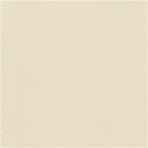 Ivory-22