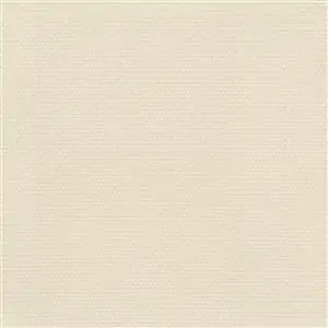 Ivory-22