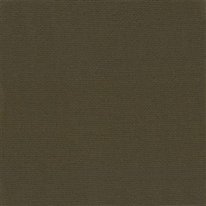 Chestnut-20