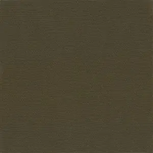Chestnut-20