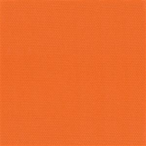Apricot-10