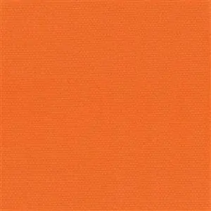 Apricot-10
