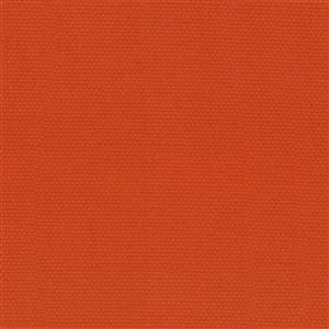 Tangerine-11