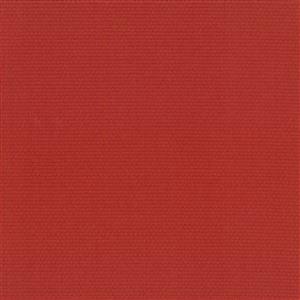 Redwood-12