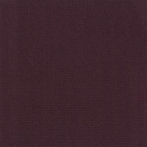 Eggplant-43