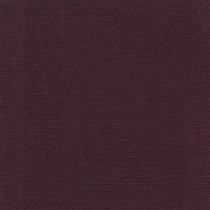 Eggplant-43