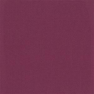 Fuchsia-42