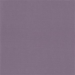 Lilac-34
