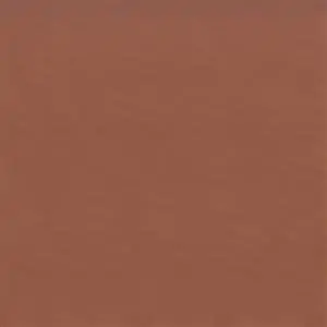 CINNAMON 05***