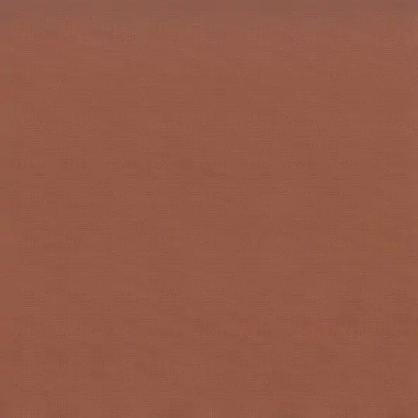 CINNAMON 05***