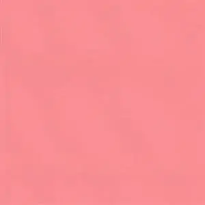BLUSH 08***