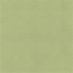PISTACHIO 13***