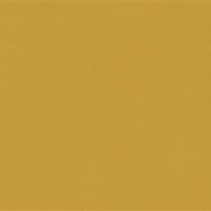Sunflower-29
