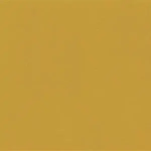 Sunflower-29