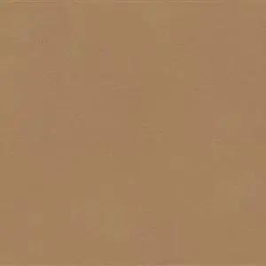 Camel-60