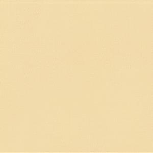 Ivory-19