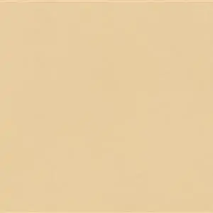 Biscuit-41