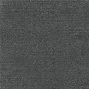 Dove-14