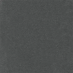 Dove-14