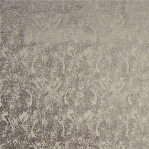 Lichen-19