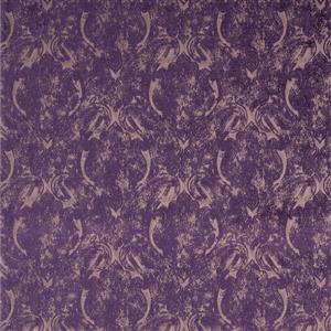 Eggplant-14