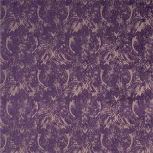 Eggplant-14