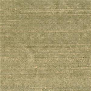 Seagrass-17