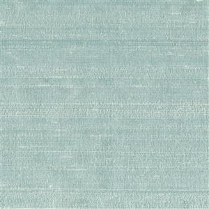 Frost-19