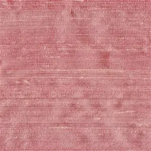 Lotus-24