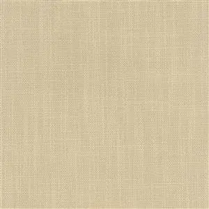 MORRIS CHAMPAGNE-94***