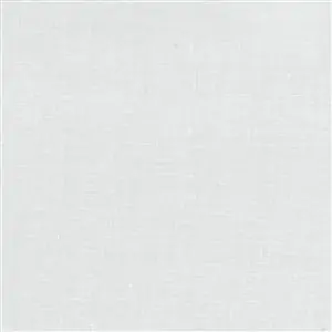 Silver 11