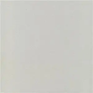 ROMANO STEEL-10***