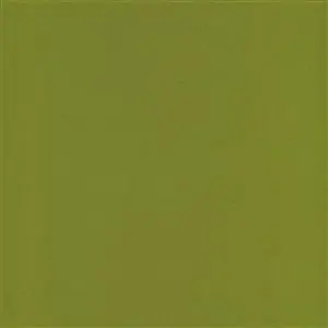 ROMANO KIWI-43***