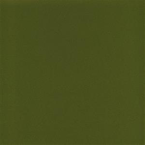 ROMANO ASPARAGUS-44***