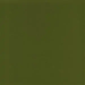 ROMANO ASPARAGUS-44***
