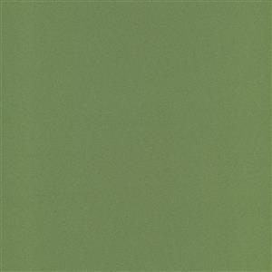 ROMANO FROG-20***