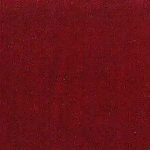 Ruby-21