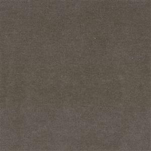 Taupe-07