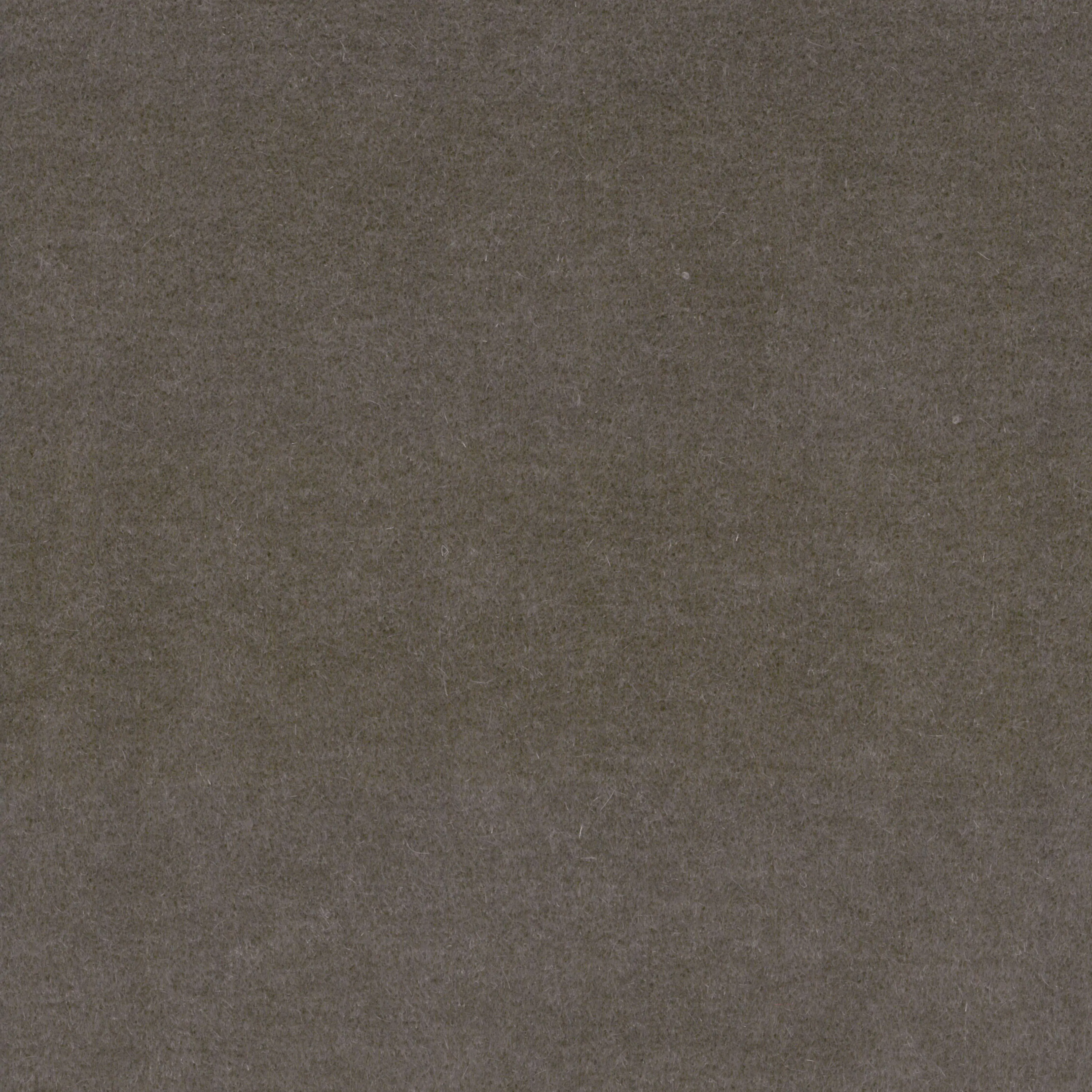 Taupe-07