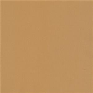 PUTTY 005***