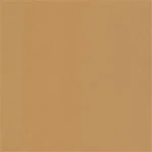 PUTTY 005***