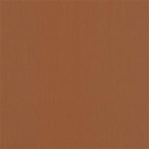 Rust-006