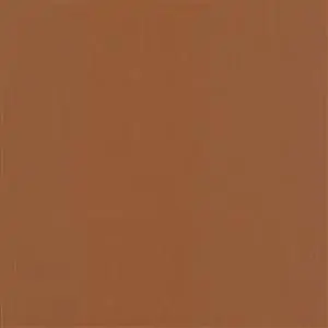 Rust-006