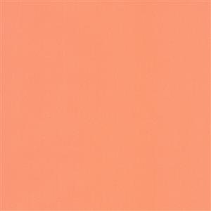 SALMON 010***