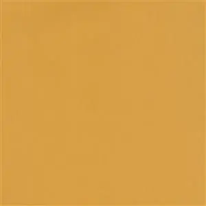 Curry-018