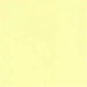 LEMONADE 019***