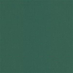 SPRUCE 027***