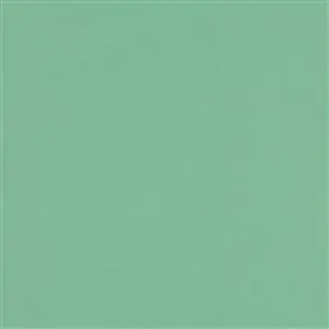 AQUA 028***