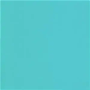 LAGOON 031***