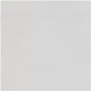 Silver-038